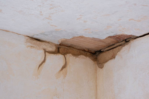 Best Water damage restoration near me  in Pottsgrove, PA
