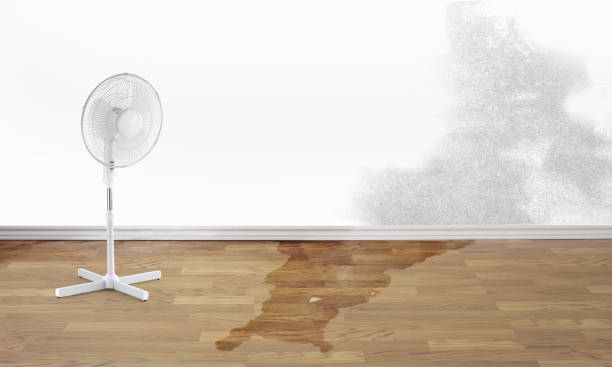 Best Carpet water damage restoration  in Pottsgrove, PA