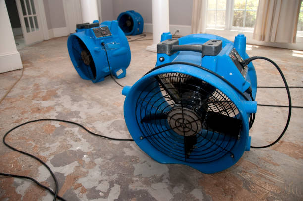 Best Flood damage cleanup  in Pottsgrove, PA