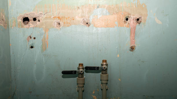 Best Professional water damage repair  in Pottsgrove, PA