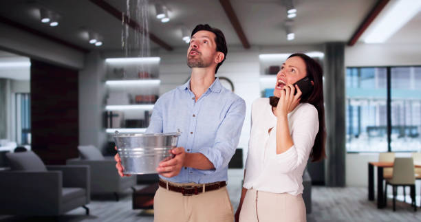 Best Water damage restoration near me  in Pottsgrove, PA
